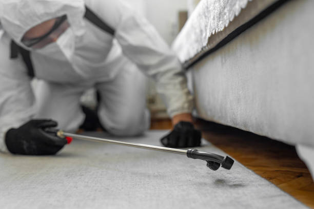 Professional Termite Control technician working in Seville, OH
