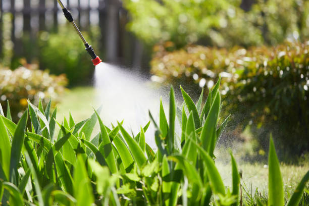 24/7 Emergency Termite Control experts in Seville, OH