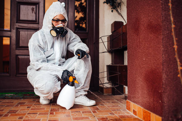 Reliable Termite Control contractor in Seville, OH by Nex Pest Control