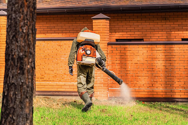 Trusted Bed Bug Control service in Seville, OH - Nex Pest Control
